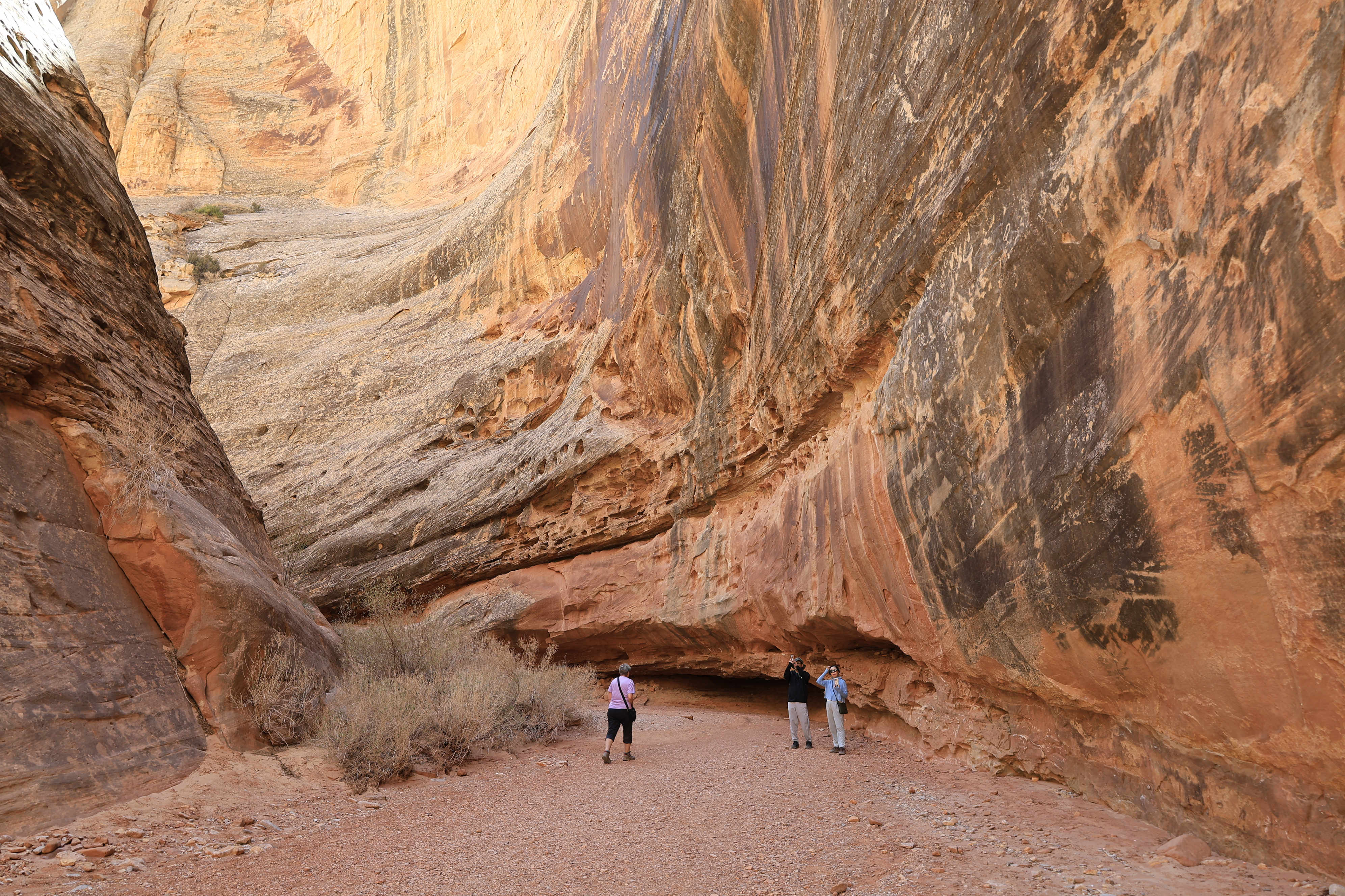 Utah